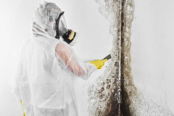 Best Residential Mold Inspection & Testing  in Moody, TX